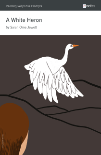 a white heron essay