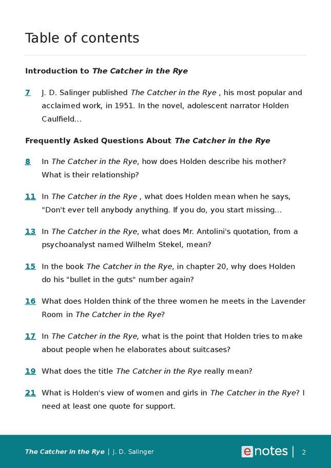 popular questions about the catcher in the rye preview image 2