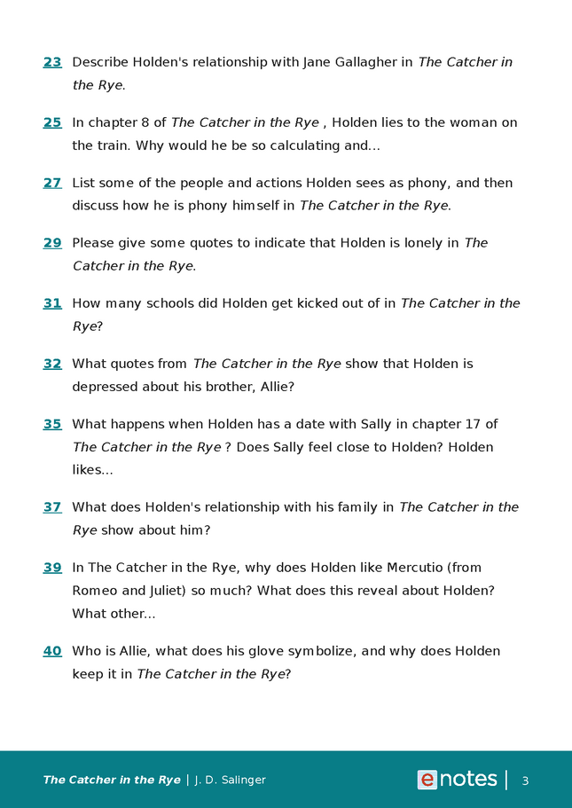 popular questions about the catcher in the rye preview image 3