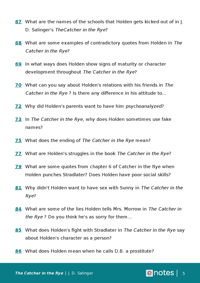 popular questions about the catcher in the rye preview image 5