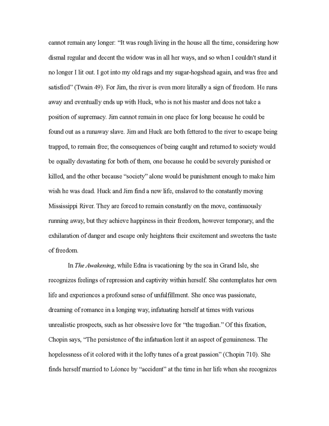 critical essay on "the awakening" and "huckleberry finn" preview image 2