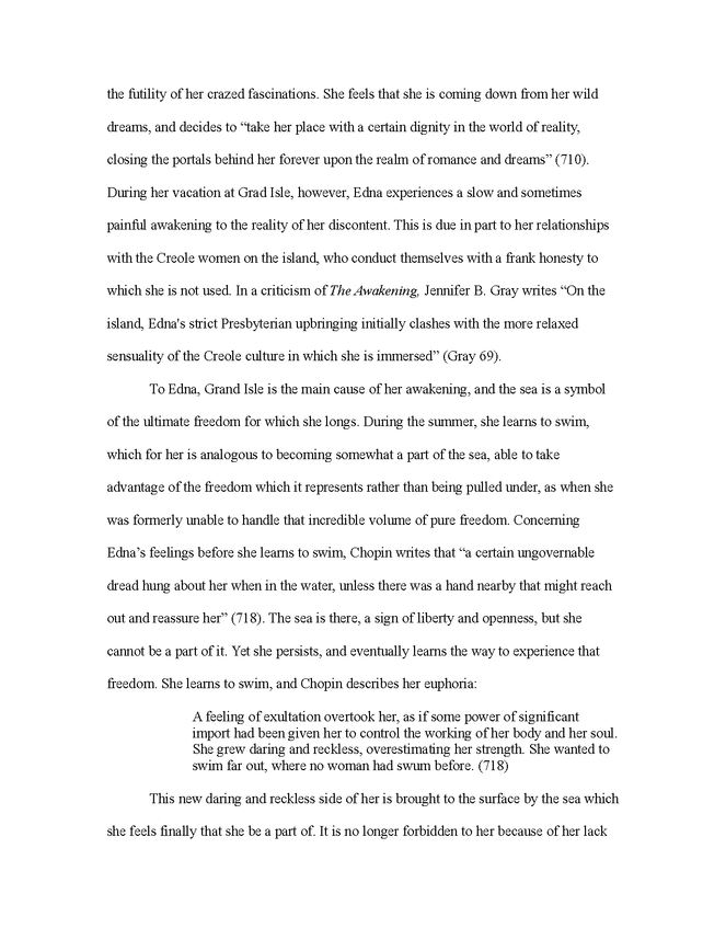 critical essay on "the awakening" and "huckleberry finn" preview image 3