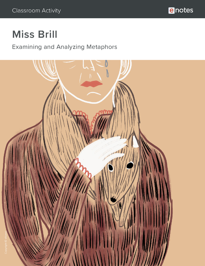 miss-brill-metaphor-activity-enotes