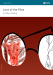lord of the flies enotes lesson plan thumbnail image 1