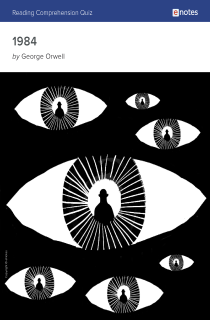 the book cover of 1984 Reading Comprehension Quiz